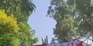 Rangkaian Kegiatan Bulan Bung Karno: PAC Cihideung PDIP Kota Tasikmalaya Laksanakan Aksi Sosial dan Kebersamaan