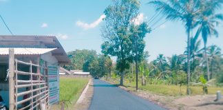 Jalan KH Umar Sanusi Resmi Diresmikan, APDESI dan Kades Sirnasari Apresiasi Pemkab Tasikmalaya